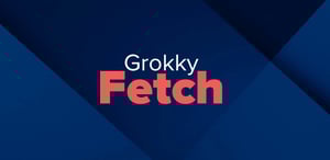 Grokky Fetch