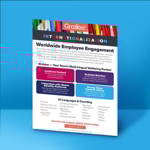 Grokker Consultant Internationalization One Sheet