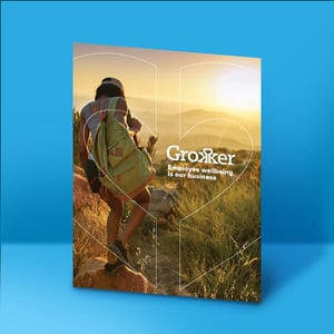 Grokker Consultant Brochure (in progress)