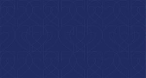 Grokker blueberry pattern A 2400