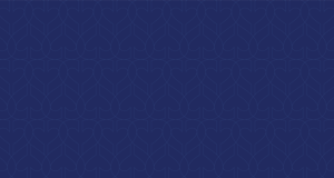 Grokker blueberry pattern B-1