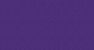 Grokker plum pattern B-1