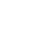 GrokkyAi Case study Dollar